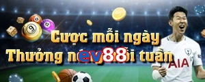 ev88